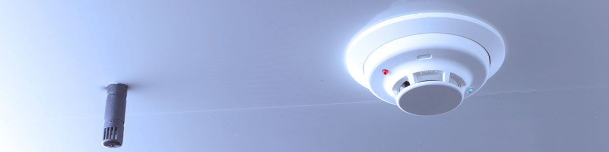Descripción de la imagen hero